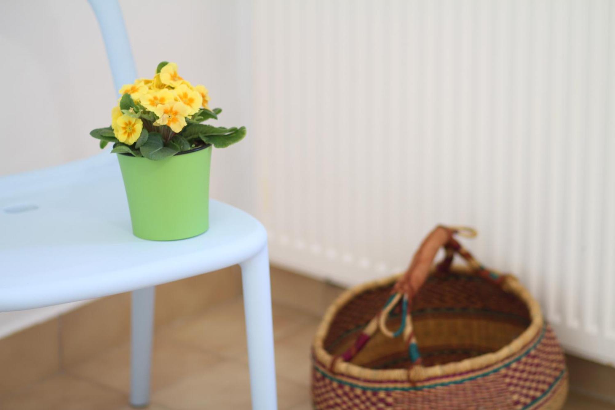 Apartament - Compartir Cadaqués Exteriér fotografie
